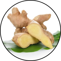Ginger Extract